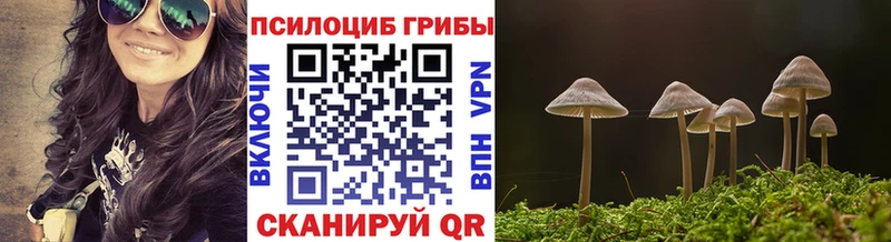 Псилоцибиновые грибы мухоморы  как найти закладки  Южа 